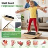 AURIVISTA 2-in-1 Slant & Balance Board, 180° Adjustable Wooden Calf