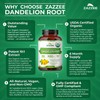 Zazzee USDA Organic Dandelion Root 10:1 Extract, 180 Capsules, 6