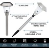Morvat LED Solar Powered Outdoor Landscape Path Lights with Stainless