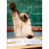 Cat Raising Hand Funny Graduation Card