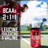 Bsn-aminox Aminoácidos