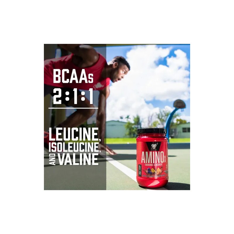Bsn-aminox Aminoácidos