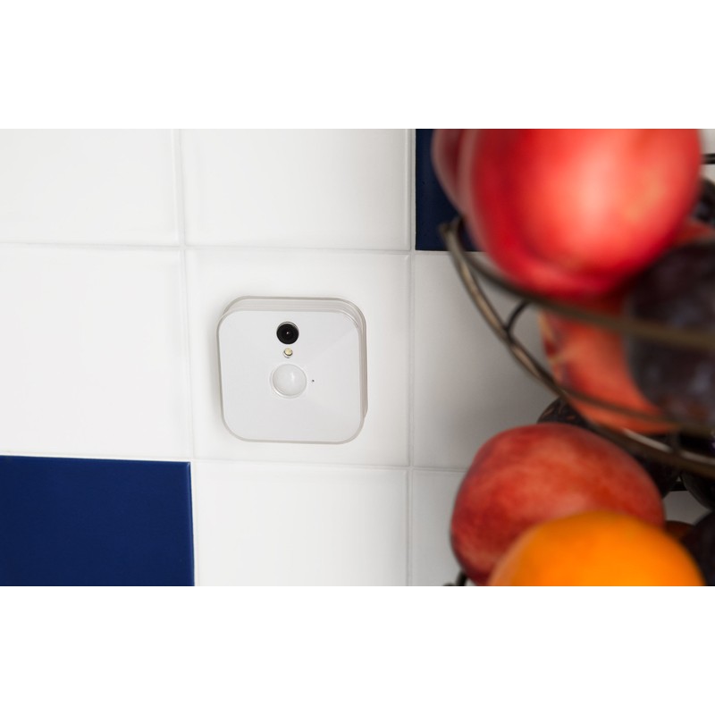 Blink Yard Sign with Two Window Decals Bundle