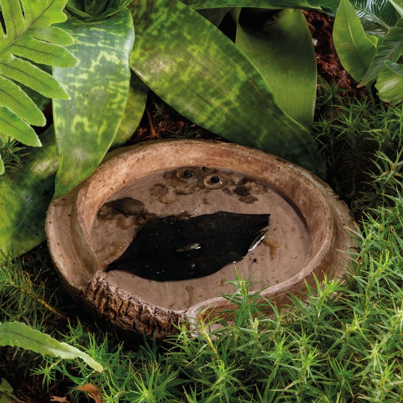 Exo Terra Coconut Cave