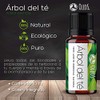 VIDA SCENTS OLEOS Aceite Esencial de Árbol Té 10 ML