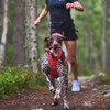 Non-stop dogwear FREEMOTION Harness 5.0 |111| Dog Harness for All