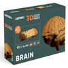 CARTONIC 3D Brain Puzzle - Made from Recycled Cardboard -