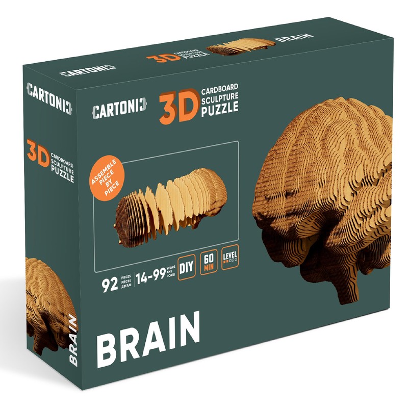 CARTONIC 3D Brain Puzzle - Made from Recycled Cardboard -