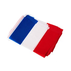 France Flags French Small String Mini Flag Pennant Banner Decorations