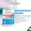 Bandini® Marines Magnesium + Vitamin B6 | 120 Capsules, 200