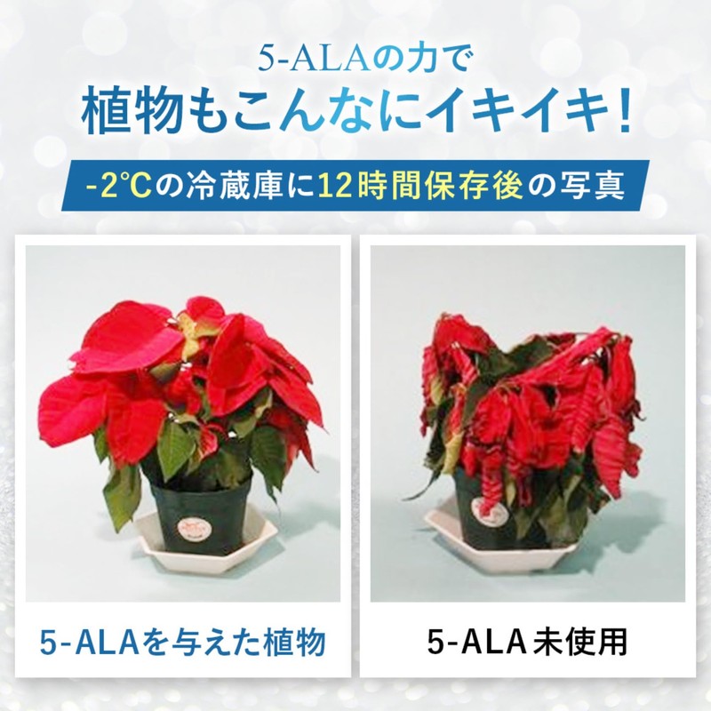 Martble 5-ALA ボトル1本 60日分 アミノ酸 サプリメント キヤンファーマ製品 正規品