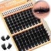 Thick Eyelash Clusters 2 Styles Lash Clusters 8D Volume Individual