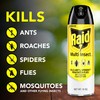 Raid Multi Insect Killer, 15 OZ