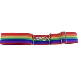 Mazeys Retro Unisex 70s Elastic Snake Belts (Rainbow 35 mm wide)