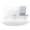 Ashler Home Deco Outdoor Waterproof Pillow Inserts - 12 x