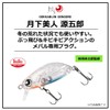 DAIWA Z36S Ajing, Mebaling, Tsukishita Bijin Gengoro, Horoi Shirasu