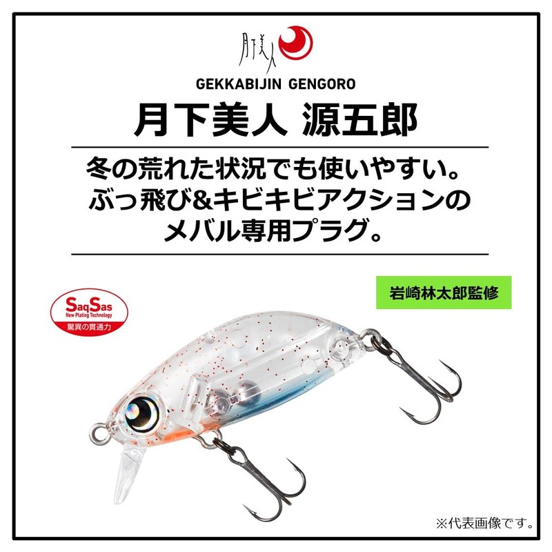 DAIWA Z36S Ajing, Mebaling, Tsukishita Bijin Gengoro, Horoi Shirasu