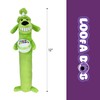 Multipet Loofa Dog Plush Toy w/ Birthday Hat - Squeaky