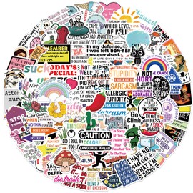 100Pcs Funny Vinyl Stickers, Waterproof Humorous Sarcastic Graffiti Stickers Pack for Adult for Laptop, Water Bottles, Bumper, Phone, Scrapbooking, Wall, Window Decals Decors