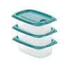 chenqi Rectangle Plastic Portion Box Sets with Lids Food Storage
