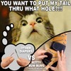 Kitty Bum Bums Reusable Cat Diapers and Stud Pants to
