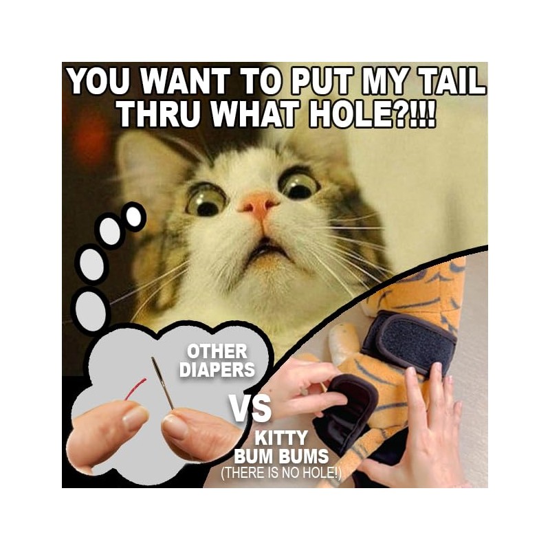 Kitty Bum Bums Reusable Cat Diapers and Stud Pants to