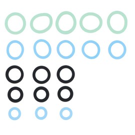 BIGM (Maruyama Seisakusho) 598066 Gasket Set for 0.3 inch (8.5 mm) and 0.4 inch (10 mm)