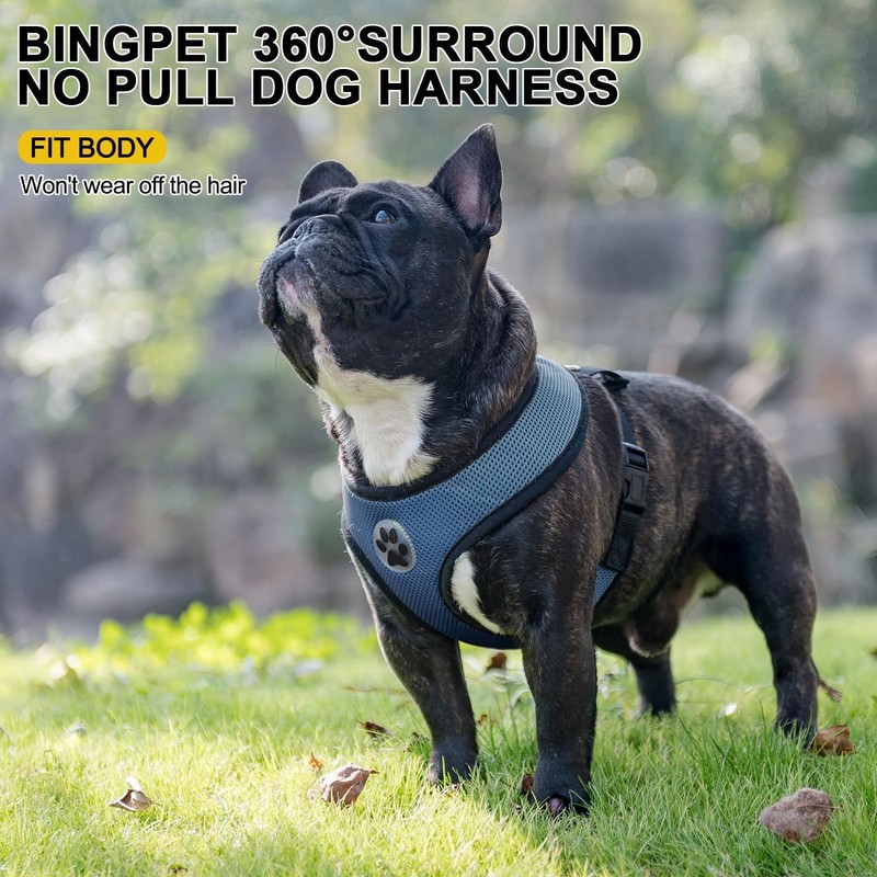 BINGPET No Pull Dog Harness,Soft Mesh Breathable All Weather Vest