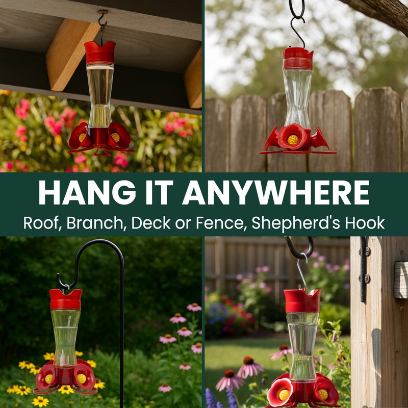 Perky-Pet 203CPBN Glass Hummingbird Feeder for Outdoors with Perches, Ant