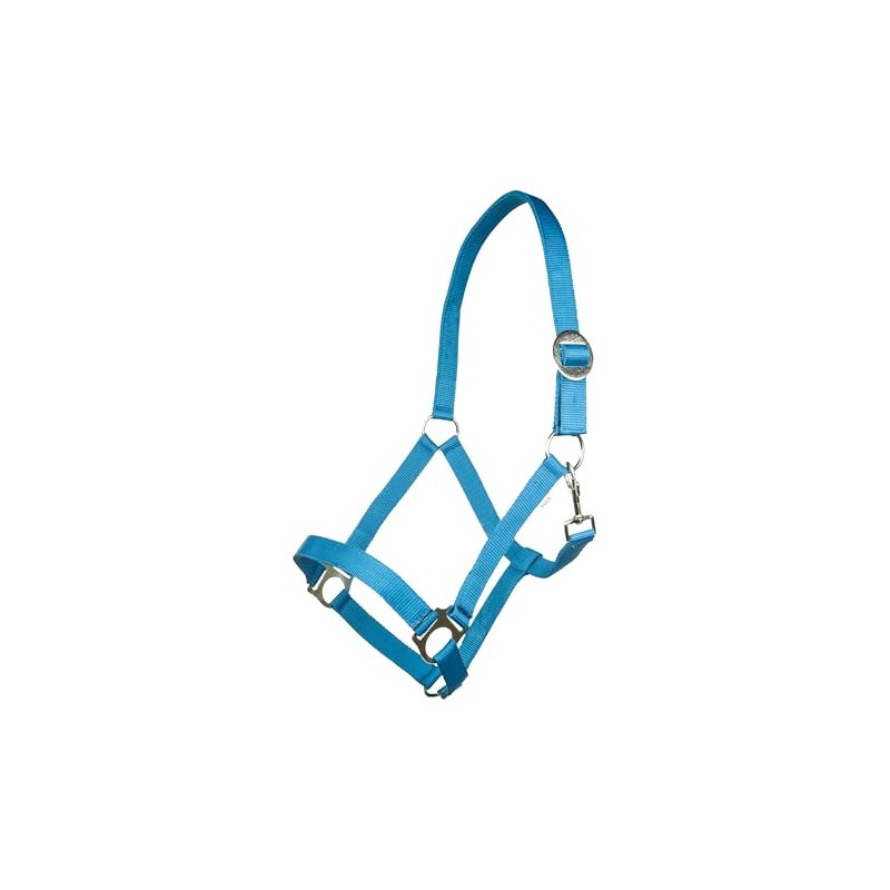 HKM Stars Economy Softice Headcollar Cornflower Blue Shetty