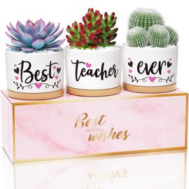 Teacher Gifts for Women, Funny Christmas Teacher Gifts, Birthday Gifts for Teacher Appreciation Gifts from Student Best Teacher Gifts, Ceramic Teacher Succulent Pots for Plants Indoor Retirement Gifts
