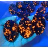 2025HOT! Yooperlite Palmstone UV Reactive Fluorescent Glowing Fire Rocks Stone