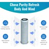 CFS – 10" x 2.5" Carbon Block Water Filter Cartridges
