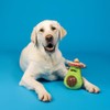 Fringe Studio Plush Dog Toy, AVO-Fiesta, Pet Shop Collection (314531)