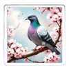 Pigeon Coaster Set. 4 different Pigeon Pictures on 10cm x