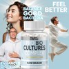 Nutrilapse™ Bio Culture Probiotics Complex, 60 Billion CFU, Granular Slow-Release