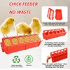 Shoyisenka 10 Pcs Flip Top Chick Feeder, 12 Hole Small