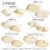 Takenaka T-26656 Dish Calm Dish, Square, Curry & Pasta, Made