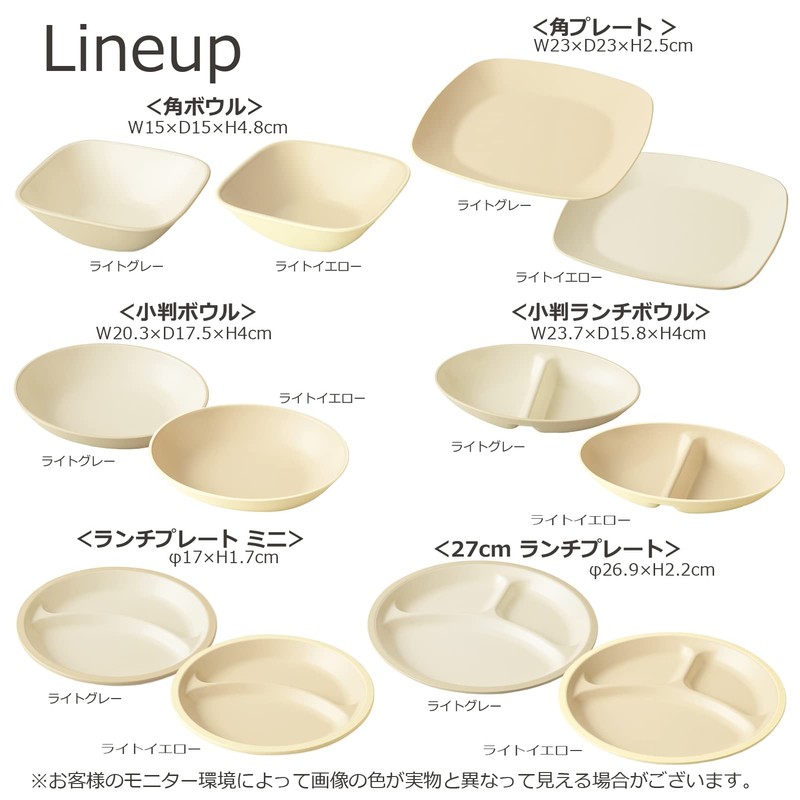 Takenaka T-26656 Dish Calm Dish, Square, Curry & Pasta, Made