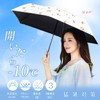 Folding Umbrella, For Rain or Shine, 2025, Includes Pouch with