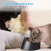 Uppetly Tilted Angle Dog Bowl, 15° Slanted Stainless Steel Dog