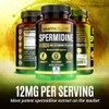 Earth Elixir Suplementos Espermidina 1200 Cápsulas Fabricado Estados Unidos Pureza