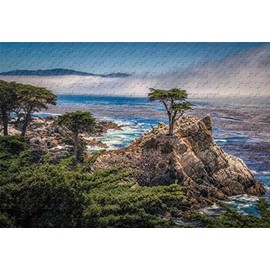 Monterey Bay 500 Piece Jigsaw Puzzle 20.6 X 15.1'' Wooden Puzzle Good Present to Friend