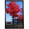 Medog 9x12 Picture Frame for Wall Black, Display Pictures 9x12