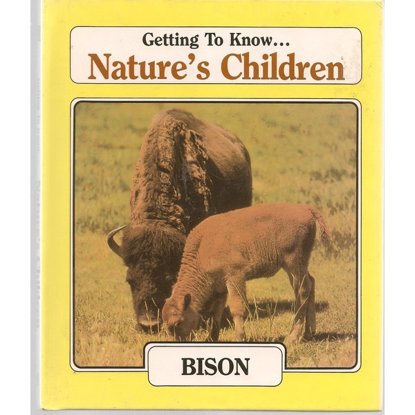 Bison