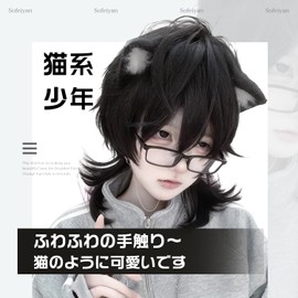 Sofeiyan [Cat Boys Wig] Men's Wig, Wolf, Mallet Wolf, Long, Stylish Layered Twink, Natural, Small Face, Men's Clothing, Harajuku, Imechen Cosplay, Full Wig, Black, Cosplay Wig, Unisex, Everyday Use,