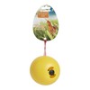 Lixit Chicken Feeder Toy