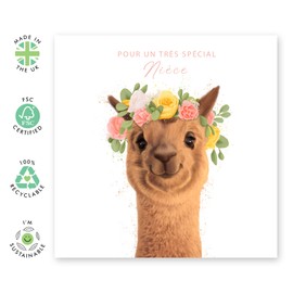 Central 23 Jolie Carte D'Anniversaire Pour Nièce - Carte De Voeux Lama Pour Enfant Fille - Cadeau Anniversaire Pour Femme - Livrée Avec Autocollants - Par
