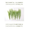 湯布院産 無農薬 スギナ茶 天日干し 非焙煎 国産 (100g × 1袋)