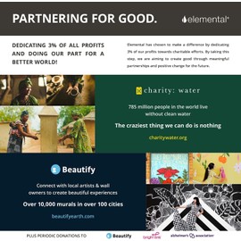 Elemental Classic Stainless Steel Water Bottle - 25oz Leak Proof Double Wall Insulated Water Bottle for Travel, Gym, Sports and Hydration - Thermos Water Bottles with Bamboo Lid - Orange